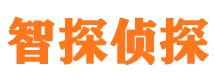 蝶山市私家侦探